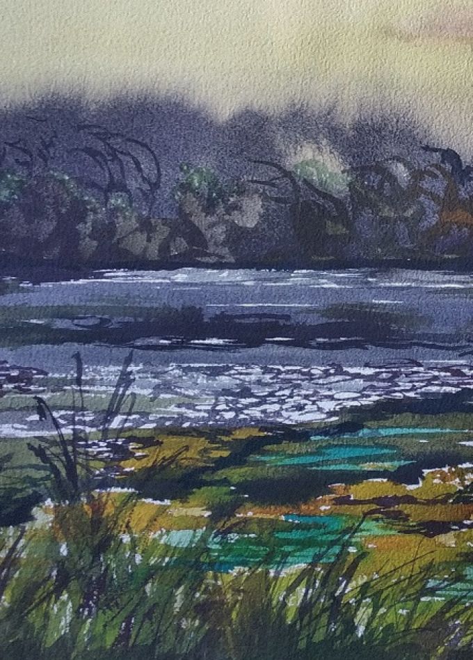 Выставка "Водная симфония"